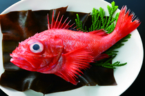 Hakodate Kaisenryori Kaikobo_Boiled premium kinki ("sebastolobus macrochir" -- fish) 