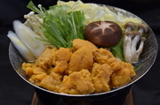 Hakodate Kaisenryori Kaikobo_
  [Highly
  Recommended] Uni Nabe (sea urchin pot) for 2 people