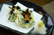 Hakodate Kaisenryori Kaikobo_
  Tempura
  of Fresh Sea Urchin
