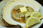 Hakodate Kaisenryori Kaikobo_
  Grilled
  Live Scallop with Butter