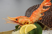 Hakodate Kaisenryori Kaikobo_
  Grilled
  Extra-Large Botan Shrimp