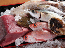 Izakaya Umaimon Shinjuku Kabuki-cho_Over 30 fish dishes to chose from.