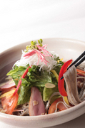 Kitamae Soba Takadaya (Suehiro)_Saisai Yasai no Soba Salad (colorful vegetable buckwheat noodle salad)