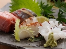Kisetsu Ryori Sakura_Become an Akashi fish connoseur with our "Sashimi Sampler - Five Varieties"