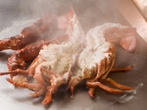 Teppanyaki Nakano_Fresh Lobster