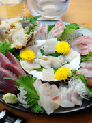 Fujimura_Savor freshly caught seafood from Hachinohe harbor at their prime deliciousness with our "Sashimi (sliced raw meat) Sampler."