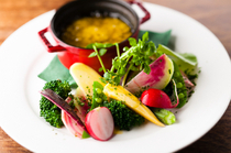 Morceau_Colorful organic vegetable bagna cauda - Enjoy the rich, great taste of seasonal vegetables