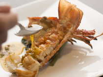 steak lounge Ren_Japanese spiny lobster, loaded with flavor that is simply irresistible