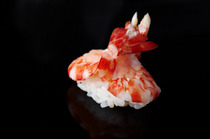 Kizushi_Saimaki shrimp, its beautiful form is further enhanced by artisanal skills
