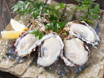 Kakiya_Enjoy the taste of the season to your heart's content, with the "Assorted Fresh Oysters"