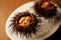 El Pulpo_Sea urchin pudding in shell (2 pieces)