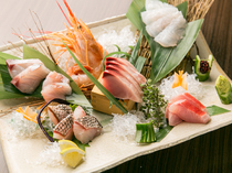 Minami Aoyama Hifumi_Minami Aoyama Hifumi recommendation! Wild fish direct from the Genkai Sea: [Assorted Otsukuri (sashimi (raw fish slices))]