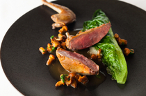 LE BOURGUIGNON_Light and mild: "Roasted Bresse squab, stuffed in romaine lettuce, garnished with chanterelle mushrooms"