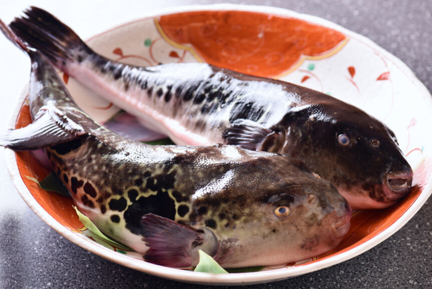 Fresh Seafood Ikasei Main Branch_Other