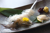 Fresh Seafood Ikasei Main Branch_[Fresh Spear Squid] Enjoy the exquisite sweetness and crunchy texture.  