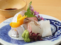 Fujiwara_[Moriawase no Tsukuri ] Assorted creation where a variety of fresh seasonal fish at the start, height, and end of their seasons can be enjoyed