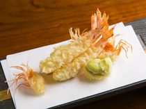 Shunsaiten Tsuchiya_The batter wraps in the flavor of [Amakusa kuruma prawn tempura (deep fried foods)]