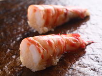 Sushi Hoshiyama_Relatively large kuruma shrimp are cut in half, keeping their tender texture intact. This restaurant's famous topping: [Kuruma Shrimp]