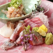 Feliz-malto_Wakana - Reservation-only, lunch course with aperitif and 7 dishes - 3,500 JPY(excluding tax)