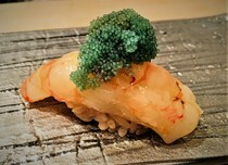 Sushi Watanabe Sapporo Branch_Botan Shrimp