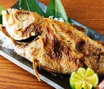 Nodoguro-no-Nakamata Tsukiji _[Genshi-yaki (primitive grilling) of  Blackthroat Seaperch] Enjoy over 500g of very rare high-end fish. 