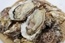Shabu Shabu Kyu Nishiazabu Main Branch_Sterile Oysters from Harima, Hyogo - Raw/Steamed/Grilled