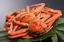MATSUKIUSHI_[Crab] Winter exclusive! Whether you steam it or grill it, it is beyond exceptional