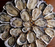 OYSTER & WINE VINOBLE_Raw Oysters - Fresh oysters with a rich aroma of the sea are delivered daily from the pristine water of Hiroshima.