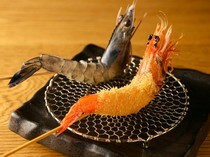 Kushitei Kyobashi Ginza-itchome_Angel Shrimp