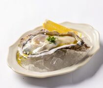 KABEAT_Kanawa Oyster from Hiroshima - The natural flavor is concentrated. Oysters that even the chefs fell in love with are a must-try!