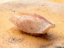 Sushi Yakushidou_Komb-cured Small Sea Bream - Prepared with meticulous skills by a professional.