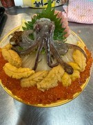 Uni Senmonten Yoichiya Hakodate Asaichi Branch_Hakodate Live Squid Comparison Bowl (Matsu) - A specialty bowl with dancing squid.