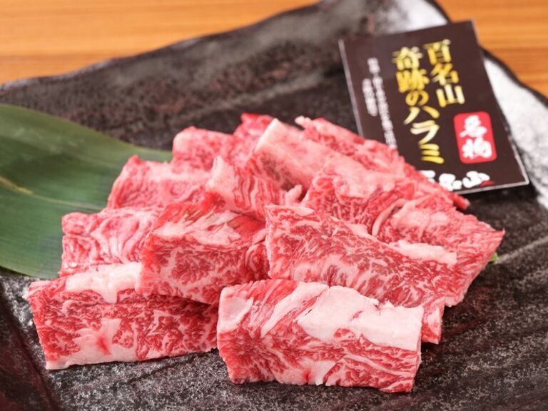 WAGYU YAKINIKU HYAKUMEIZAN Meieki Nishi Branch_Cuisine