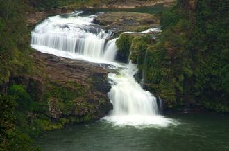 Iriomote Island