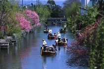 Yanagawa moat tour on a boat