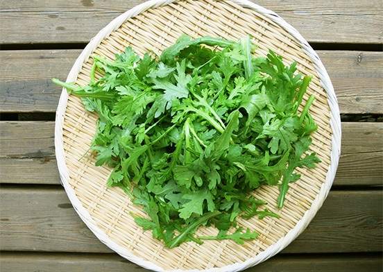 Chrysanthemum Leaves