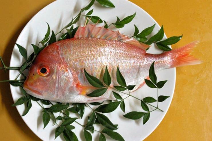 Tai. The decorative good luck fish.