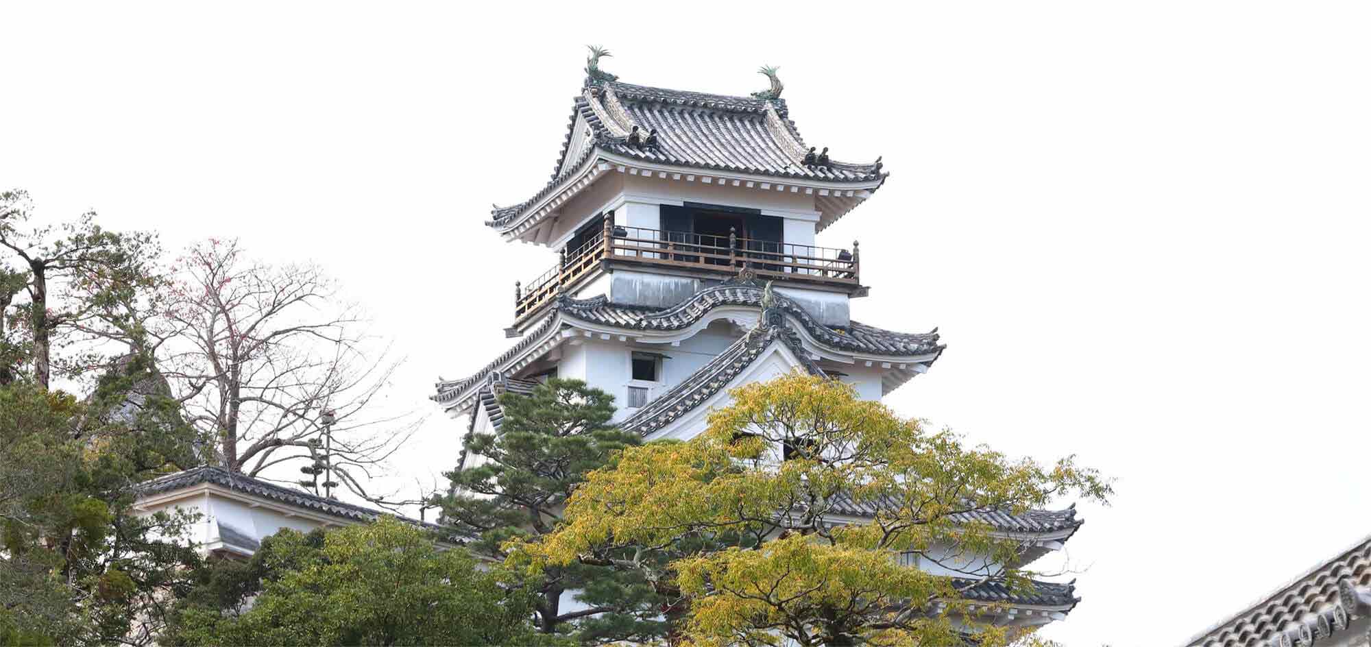 Kochi-jo Castle image